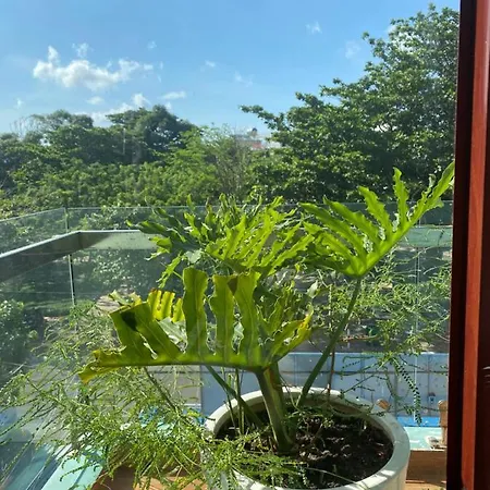 Lan Anh'S Home Chi Khu Co Ong Exterior photo
